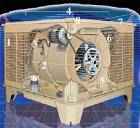 tradewinds evaporative cooler