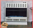 Williams blue flame heater